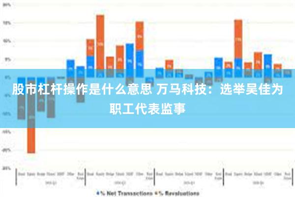 股市杠杆操作是什么意思 万马科技：选举吴佳为职工代表监事