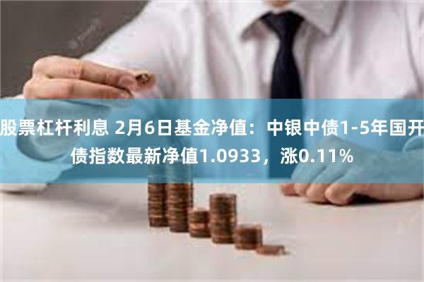 股票杠杆利息 2月6日基金净值：中银中债1-5年国开债指数最新净值1.0933，涨0.11%