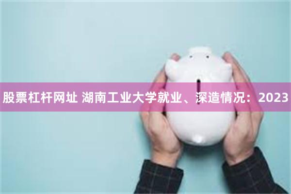 股票杠杆网址 湖南工业大学就业、深造情况：2023