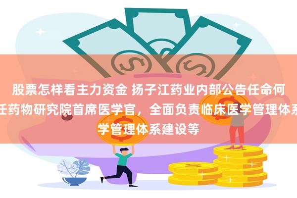 股票怎样看主力资金 扬子江药业内部公告任命何如意担任药物研究院首席医学官，全面负责临床医学管理体系建设等