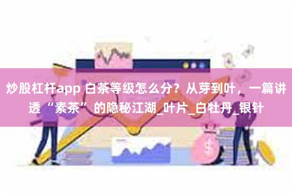 炒股杠杆app 白茶等级怎么分？从芽到叶，一篇讲透 “素茶” 的隐秘江湖_叶片_白牡丹_银针