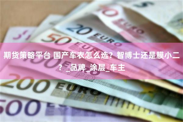 期货策略平台 国产车衣怎么选？智博士还是膜小二？_品牌_涂层_车主
